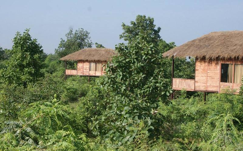 Muba's Machaan, Raipur 1